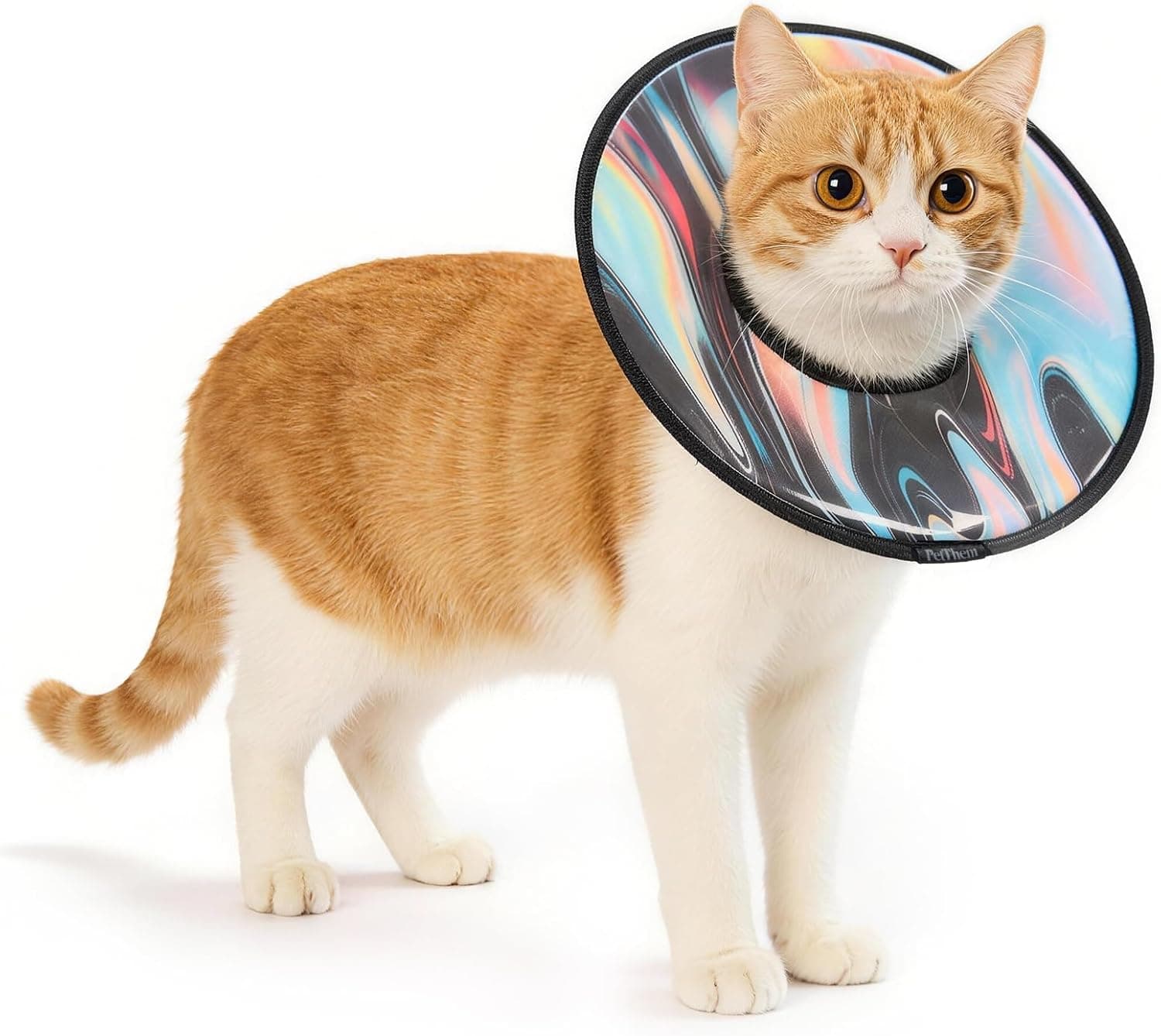Soft Cat Cone Collar, Adjustable Cat Recovery Collar, After Surgery, Waterproof & Easy to Clean, Lightweight Elizabethan Collar for Cats and Small Dogs (Stellar Wanderer, S)