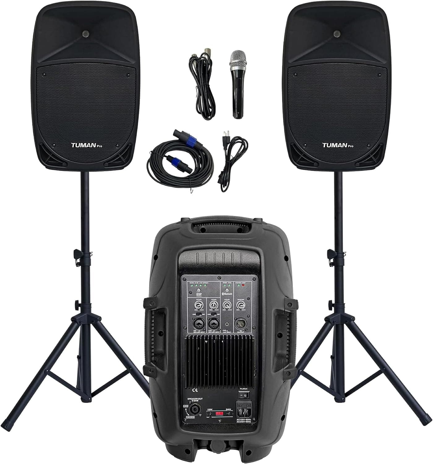 Dual 10 Inch 1200W High Powered PA Speaker System